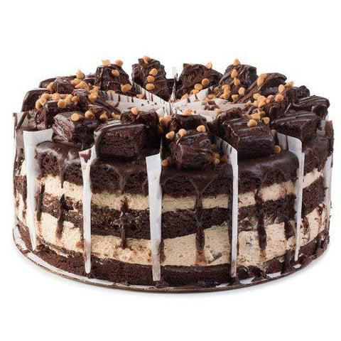 Davids Premier 14 Cut Peanut Butter Explosion Cake -- 2 per case
