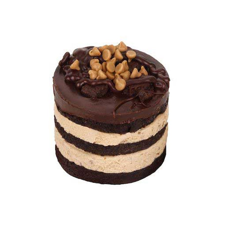 Davids Cookies Annies Peanut Butter Explosion Cake, 6.75 Ounce -- 24 per case