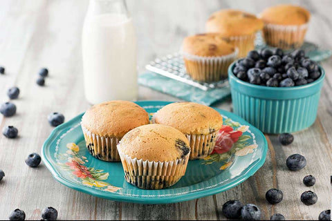 Katz Gluten Free Blueberry Muffin -- 24 per case