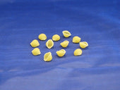 AIPC Ravarino and Freschi Small Shell Pasta, 10 Pound -- 2 per case.