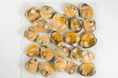 Panapesca Half Shell Clams, 12 Pound.