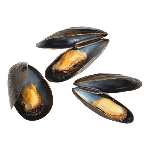 Panapesca Mussels In Shell, 1 Pound -- 10 per case.