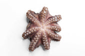 Pana Pesca Pulpo Whole Cleaned 4 to 6 Pound Octopus Flower, 30 Pound.