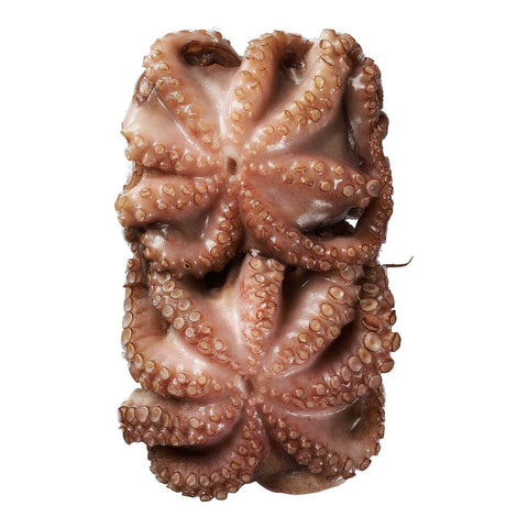 Pana Pesca Octopus Whole Cleaned Skin Pack, 17.6 Ounce -- 8 per case.