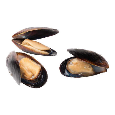 Pana Pesca Fully Cooked Mussels in Shell, 14.1 Ounce -- 8 per case.