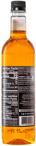 Davinci Gourmet Mango Syrup, 750 Milliliter -- 12 per case