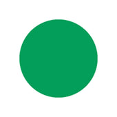 National Checking Green Circle Permanent Label, 5 inch -- 1000 per case.
