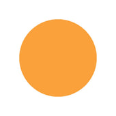 National Checking Orange Circle Permanent Label, 5 inch -- 1000 per case.