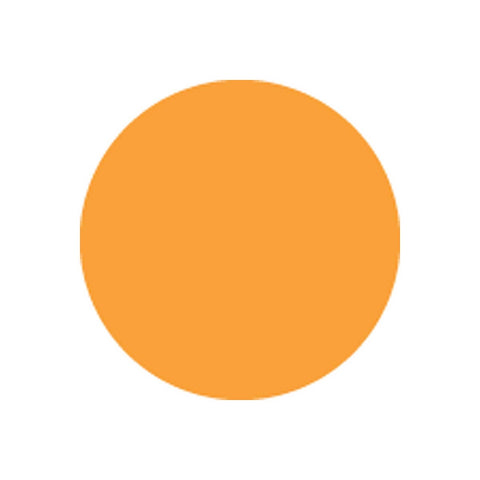 National Checking Orange Circle Permanent Label, 5 inch -- 1000 per case.