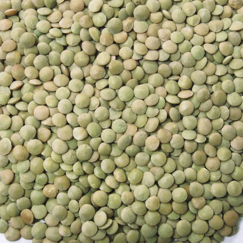 Jack Rabbit Lentils - 1 lb. bag, 24 bags per case