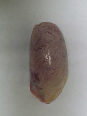 Strauss Calf Frozen Raw Veal Fry, 2 Ounce -- 72 per case.