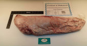 Broadleaf Wagyu Japanese Tenderloin Beef, 8 Pound -- 2 per case