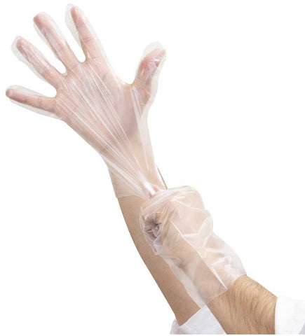 Foodhandler Jobselect Large Clear Synthetic Hybrid Glove -- 1000 per case