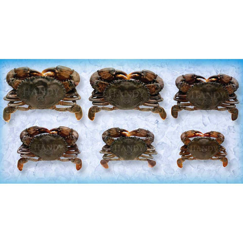 Handy Seafood 6.5 Ounce Soft Shell Super Colossal Imported Wild Caught Crab -- 24 per case.