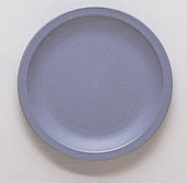 Cambro Narrow Rim Plate, Slate Blue, 9 inch -- 48 per case.