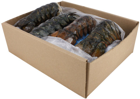 Seamazz 14 to 16 Ounce Canadian Lobster Tail, 10 Pound.