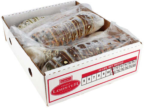 Seamazz 10 to 12 Ounce Lobster Tail, 10 Pound.