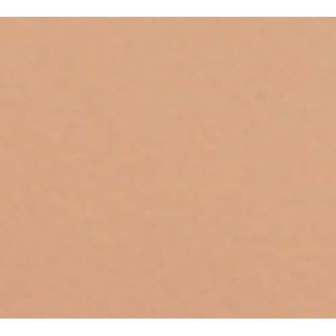Cambro Fiberglass Dark Peach Dietary Tray, 19 x 12 inch -- 12 per case.