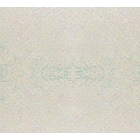 Cambro Galaxy Antique Parchment Silver Round Camtray, 16 inch -- 12 per case.