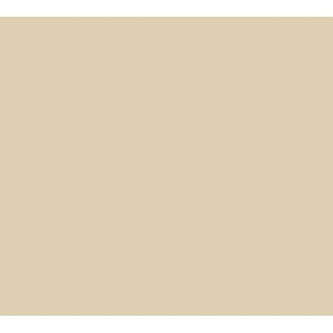 Cambro Camrack Polypropylene Beige Full Size 20 Compartment Glass Rack, 11 3/4 inch -- 2 per case.