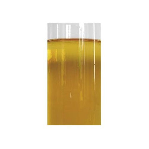Wholesome Sweeteners Organic Blue Agave - Sweetener, 5 Ga -- 1 per case