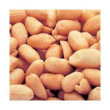Azar Nut Blanched Oil Roasted Salted Peanut, 5 Pound -- 2 per case.