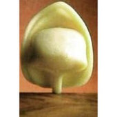 Carlas Precooked Tortellini Egg Pasta, 3 Pound -- 4 per case.
