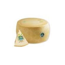 Zanetti Grassi Grana Padano - Eighth Cut, 9 Pound -- 2 per case.