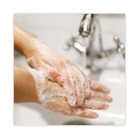 Dial Professional Unscented Basics MP Free Liquid Hand Soap, 3.78 Liter Refill Bottle -- 4 per case