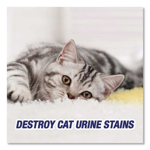RESOLVE Citrus Urine Destroyer, 32 Ounce -- 6 per case