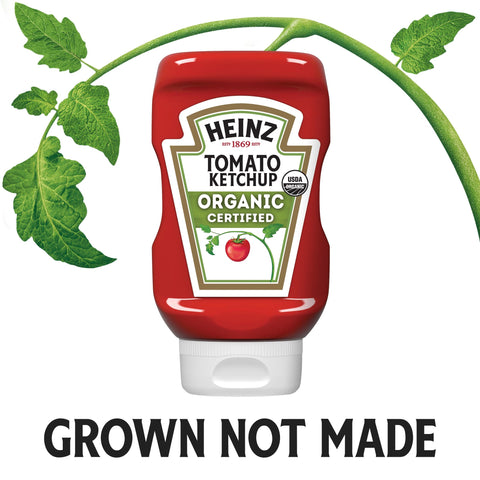 Ketchup Inverted Organic 78004844
