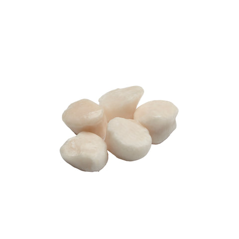 Sea Legend SCALLOP SEA 20/30 ALL NATURAL
