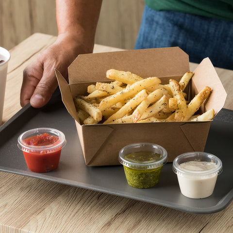 Conquest Delivery Plus Clear Coated Skin On Straight Cut Fries, 5 Pound -- 6 per case