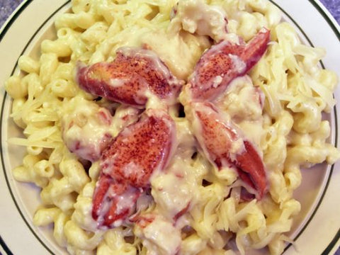 Pasta Pipette Rigate