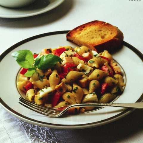 Pasta Shell Medium