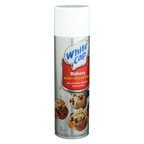 Oil Pan Coating Spray All Purpose