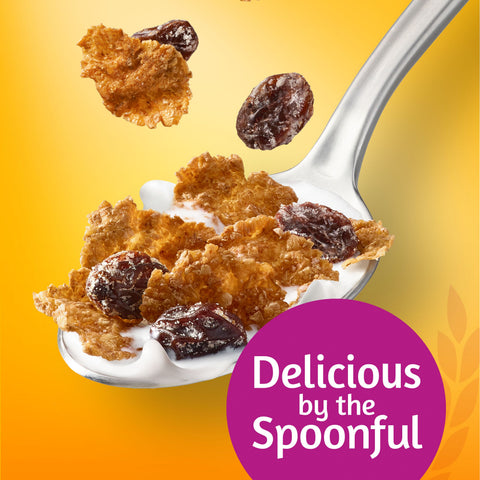 Kelloggs Raisin Bran Cereal, 16.6 Ounce -- 10 per case.