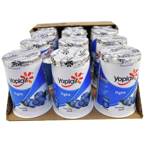 Yogurt Blueberry Patch Fat Free