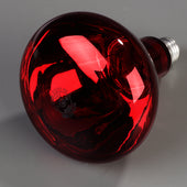 Carlisle HEAT LAMP BULB ONLY 250 WATT