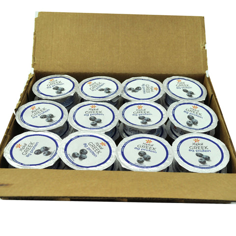 Yoplait Protein Blueberry Greek Yogurt, 3.5 Ounce -- 24 per case.