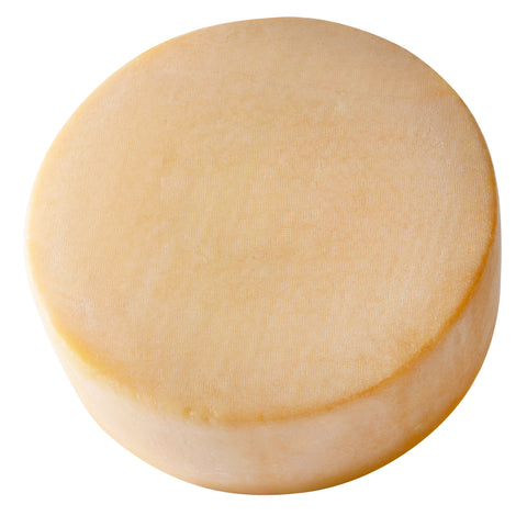 Belgioioso CHEESE PARMESAN WHEEL CLEAR WAX