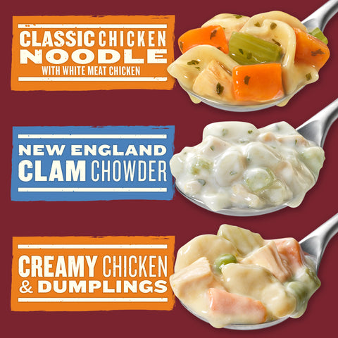 Campbell's® SOUP CHICKEN NOODLE CHUNKY BOWL
