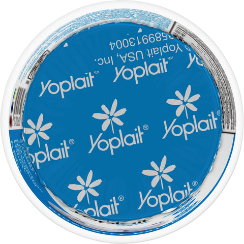 Yogurt Blueberry Patch Fat Free