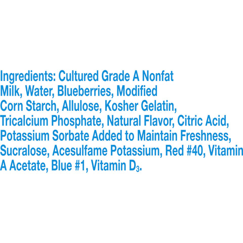 Yogurt Blueberry Patch Fat Free