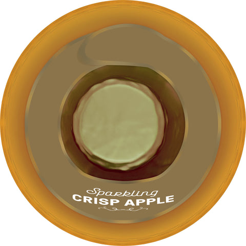 RW Knudsen JUICE APPLE CIDER CRISP 100% SPARKLING GLASS BOTTLE SHELF STABLE
