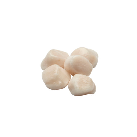Sea Legend SCALLOP SEA 20/30 W/A RAW IQF