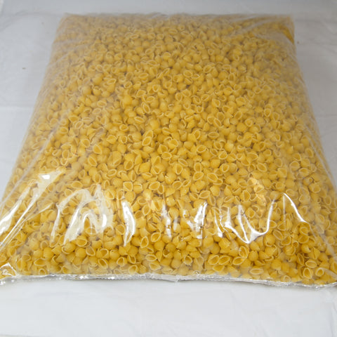 Pasta Small Sea Shells