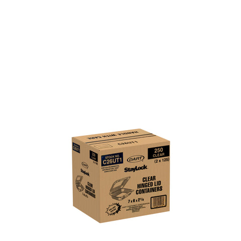 Container Plastic Clear Oblong Hinged 7
