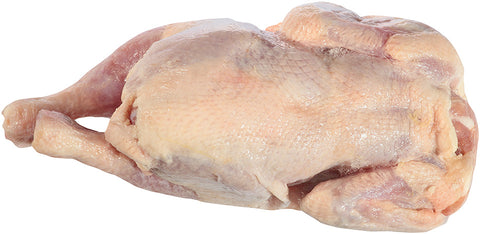 Tyson Whole Cornish Hen without Giblets, 18 Ounce -- 24 per case