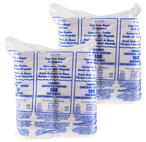 Container Foam White Large 1-compartment Hinged Lid 9.4x9